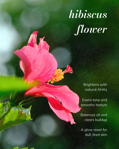 Hibiscus Powder - Gentle Exfoliating Cleanser