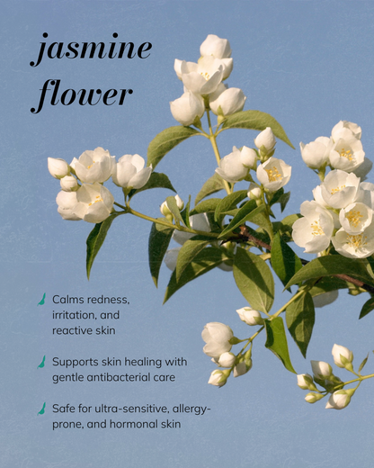 Jasmine Milk - Gentle Cream-to-Milk Cleanser