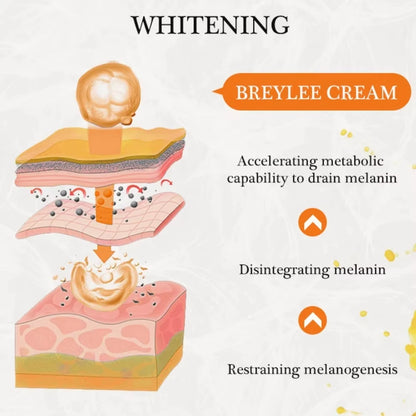 Korean Rice Extract Cream Spf50+ Hydrate Moisturizing Improve Dullness Even Out Brighten Skin Tone Last Light-feeling Concealer