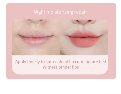 O'CHEAL 1 Pcs Sleeping Mask Maintenance Moisturizing Lip Gloss Mask Cream Plump Lips Serum Care Nourishing Lip Mask Balm