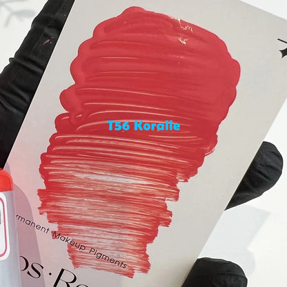 FAMISOO New 4 Colors 5ML Professional Permanent Makeup Pigments Tattoo Lips inks Tattoo Pigments Beauty Art Women Use