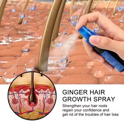 Ginger Hair Growth Serum Spray Anti Loss Regrowth Hair Growth Oil Essence Scalp Massage Moisturizing Nourish Hair Care Men Women