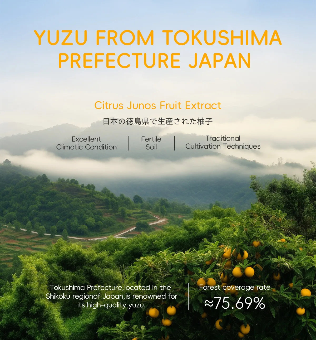 Japanese Yuzu Toner 100ml Deep Hydration Pore Minimizing Brightening Effect Long Lasting Moisture Revitalizing Skin Treatment