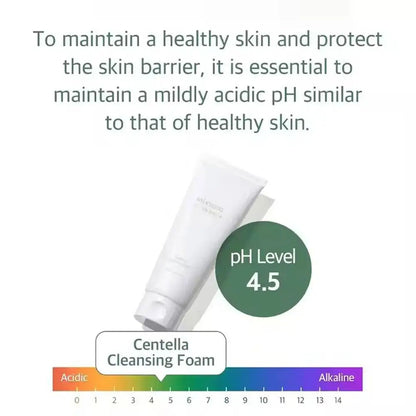 Korean Mixsoon Bean Cream Essence Sunscreen Centella Facial Cleaner Moisturizing Soothing Enhance Skin Elasticity Oil Control