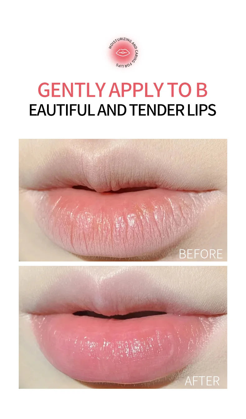 8/4/PCs Lip Balm Moisturizing Lipstick Base Moisturizer Makeup Natural Plant Anti-Cracking Lip Care Petroleum Jelly Lip Balm