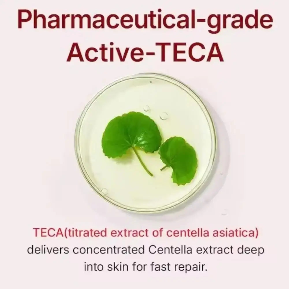 Korean Centella Asiatica Facial Cream 24 Hours Deep Moisturizing Firming Quickly Absorbed Non-Greasy Texture Improve Dull Skin