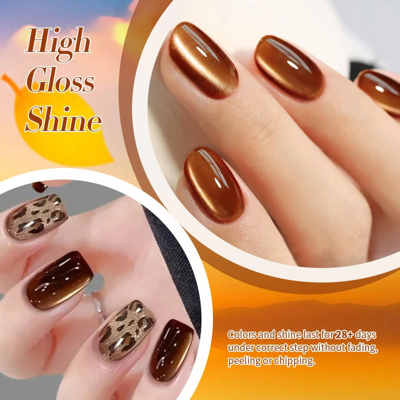 BORN PRETTY 10ml Water Light Cat Magnetic Gel for Autumn Winter Naills Semi Permanent Soak Off UV Gel Manicure Nail Art Varnish