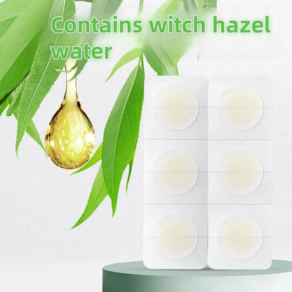 24PCS Microneedle Acne Patch Painlessly Penetrate Acne Patches Blemishes Pimples Covering Patch Daily Unisex Skincare Ultra-fine