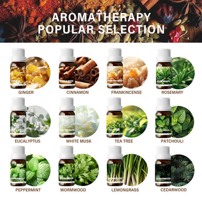 10ml White Musk Oil Rosemary Oil Natural Plant Fresh Aromatherapy for Massage Diffuser, Air Freshener,Car aromatherapy, Gifts