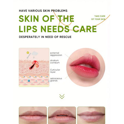 Aloe Lip Balm Healing Lasting Moisturizing All-natural Lip Mask For Dry Lips Lip Moisturizing Power Lip Care Nourishing Repair