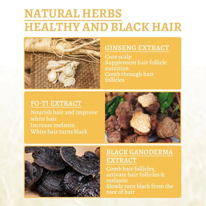 Essence Oil Natural Hair Growth Scalp Black Ganoderma Lucidum White To Black Stop Hair Loss Treatment Products 30ml