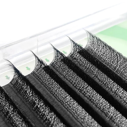 NATUHANA 3DW Shape Individual Lashes Easy Fan W Style Black Eyelash Extensions Soft W-Shaped Brown Eyelashes for Makeup Tool