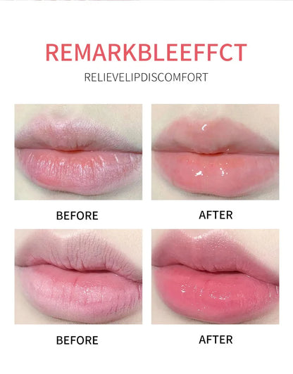 8/4/PCs Lip Balm Moisturizing Lipstick Base Moisturizer Makeup Natural Plant Anti-Cracking Lip Care Petroleum Jelly Lip Balm