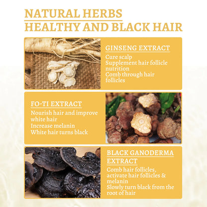 Essence Oil Natural Hair Growth Scalp Black Ganoderma Lucidum White To Black Stop Hair Loss Treatment Products 30ml