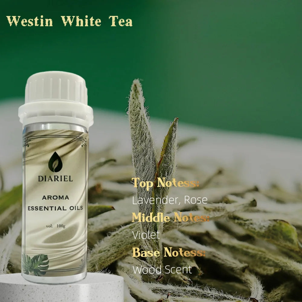100ML Famous France Perfume Oil Men Women Fragrance Oasis Essential Oil Aromatherapy Diffuser Oil DLor Svuvage Ton Foud Oud Wood
