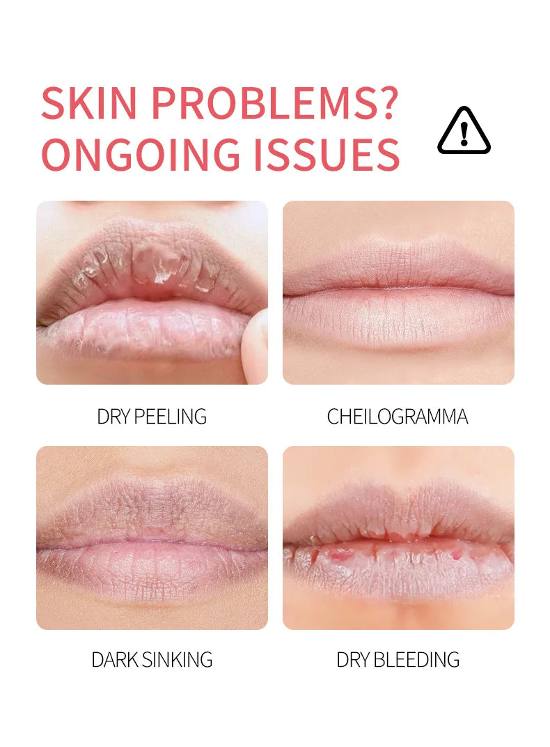 8/4/PCs Lip Balm Moisturizing Lipstick Base Moisturizer Makeup Natural Plant Anti-Cracking Lip Care Petroleum Jelly Lip Balm