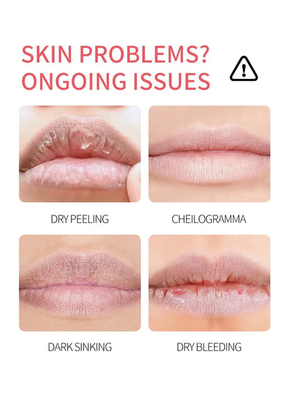 8/4/PCs Lip Balm Moisturizing Lipstick Base Moisturizer Makeup Natural Plant Anti-Cracking Lip Care Petroleum Jelly Lip Balm