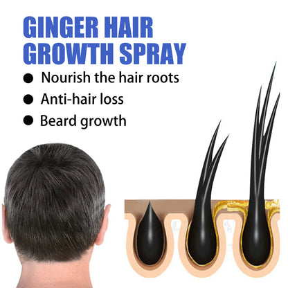 Ginger Hair Growth Serum Spray Anti Loss Regrowth Hair Growth Oil Essence Scalp Massage Moisturizing Nourish Hair Care Men Women
