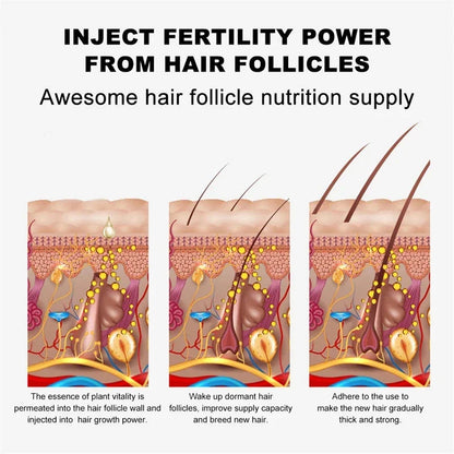 Eyelash & Eyebrow Growth Serum – Prevents breakage, delivers fuller results in 7 days, ideal for daily eye care.