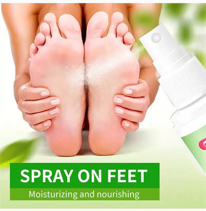 Herbal Anti Crack Foot Cream Spray Heel Cracking Repair Products Exfoliation Dead Skin Removal Softening Moisturize Smooth Care